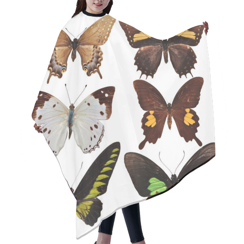 Personality  Butterfly Collection Hair Cutting Cape