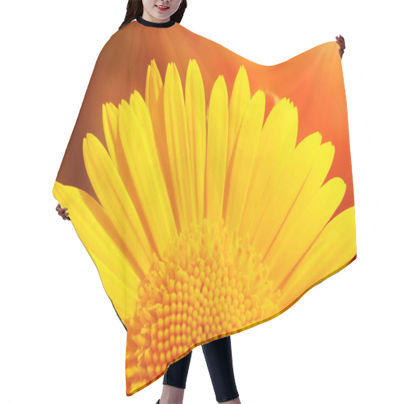 Personality  Yellow Sunflower With Sun Hair Cutting Cape