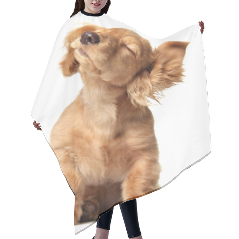 Personality  Funny Puppy Hair Cutting Cape