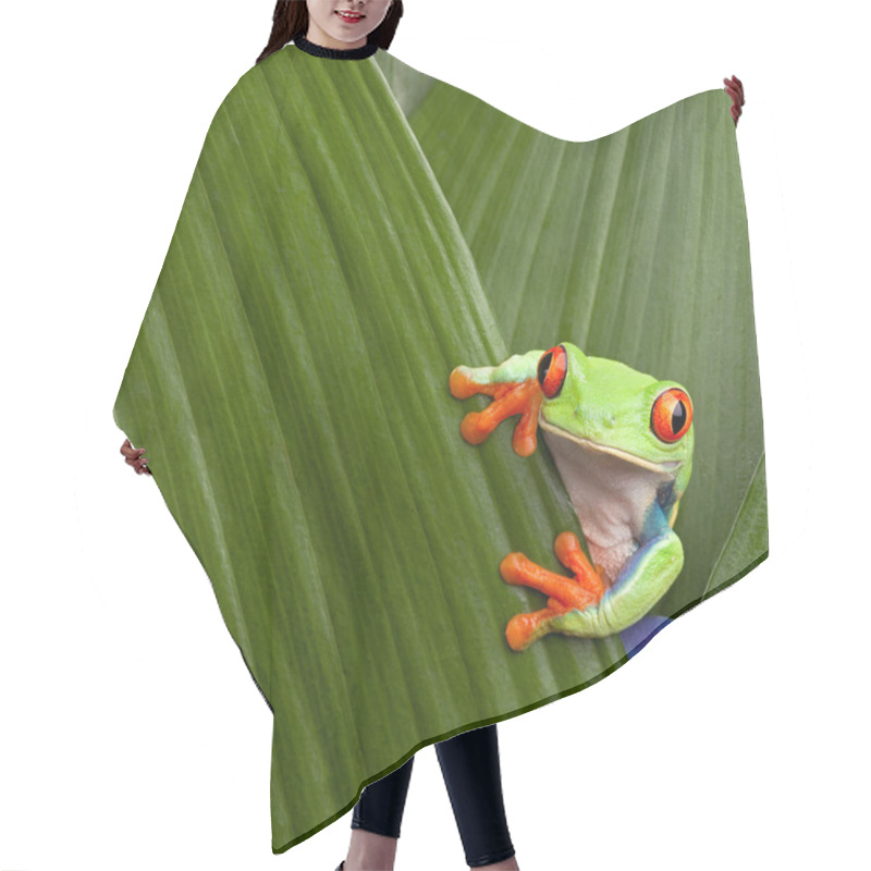 Personality  Red Eyed Tree Frog Hair Cutting Cape