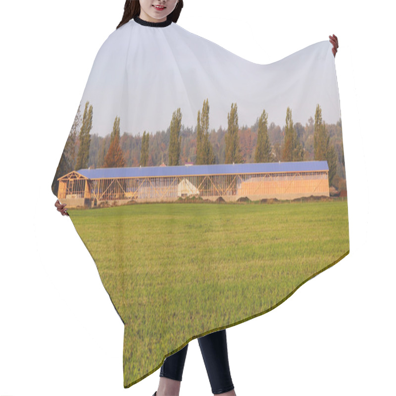 Personality  New Cattle Barn Construction Hair Cutting Cape