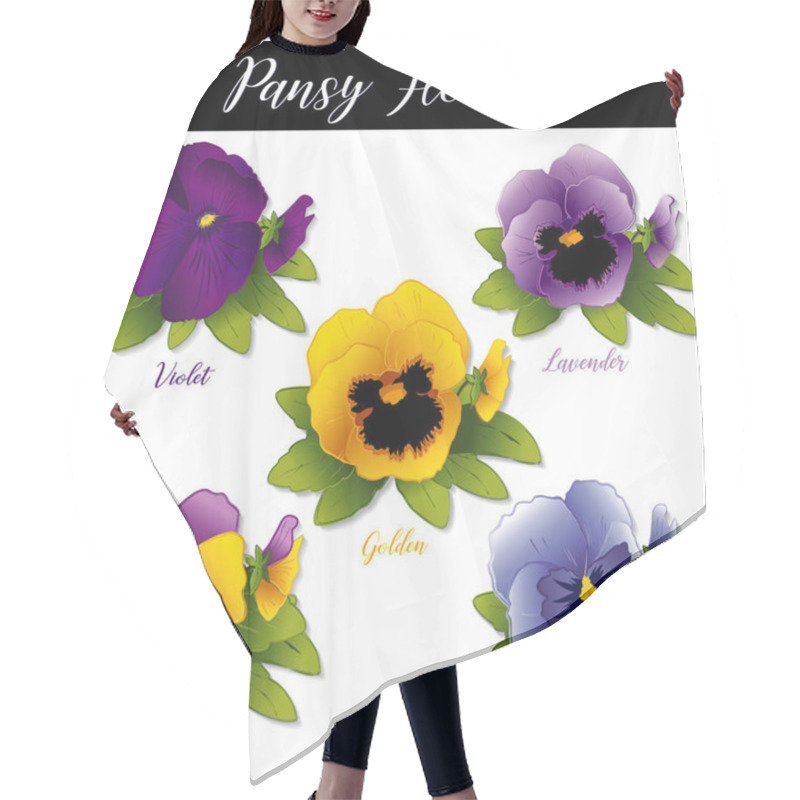 Personality  Pansies And Johnny Jump Ups (Violas). Spring Flowers In Purple, Violet, Lavender, Golden And Sky Blue Isolated On White Background.  Hair Cutting Cape