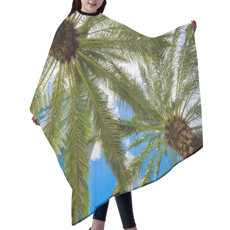 Personality  Downtown Miami Cityscape Hair Cutting Cape