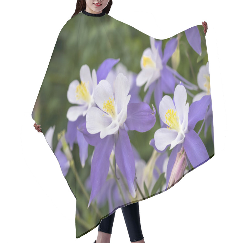 Personality  Blooming Blue Columbine Wildflower Hair Cutting Cape