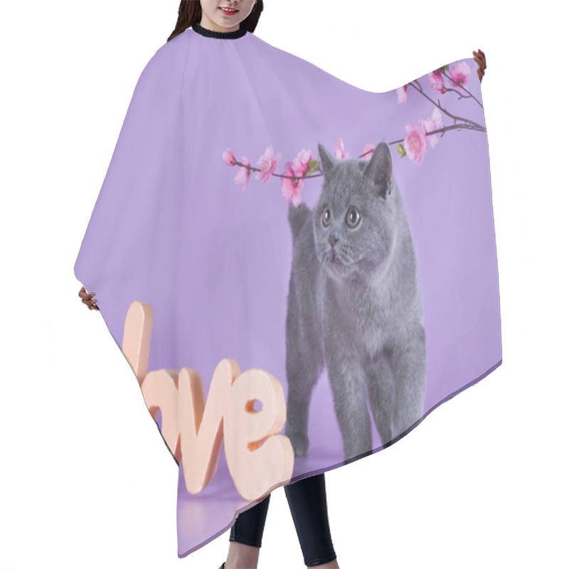 Personality  British Kitten With A Sprig Isolated On A Purple Background Hair Cutting Cape