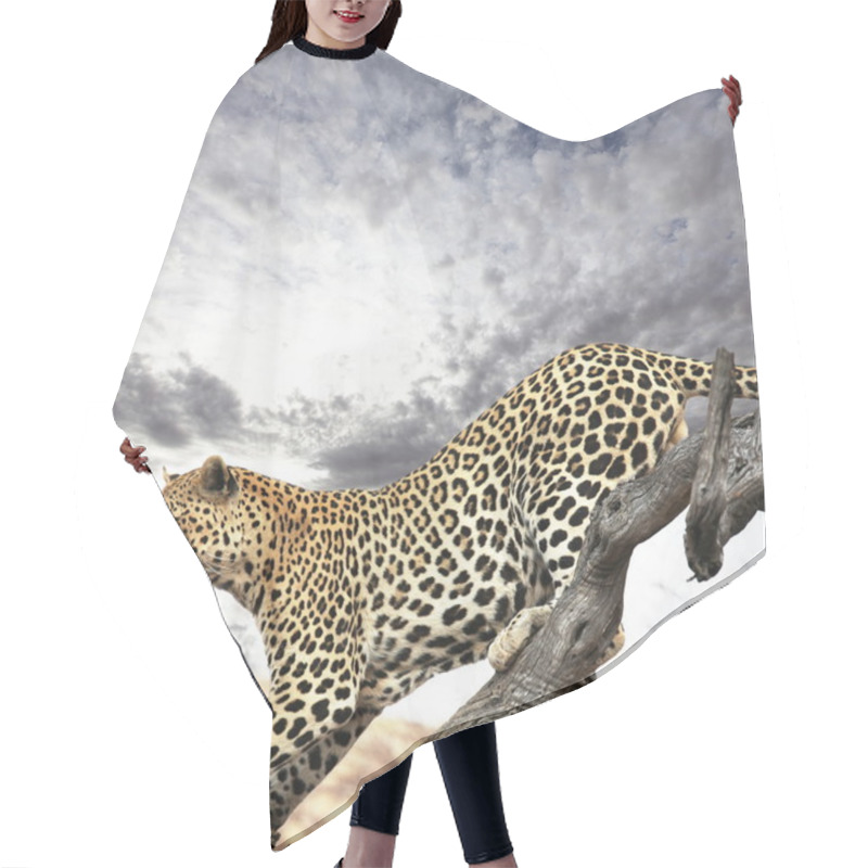 Personality  Leopard Hair Cutting Cape