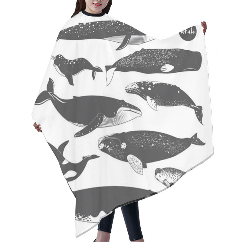 Personality  Doodle Cute Marine Animal Whale Species Elements Hair Cutting Cape