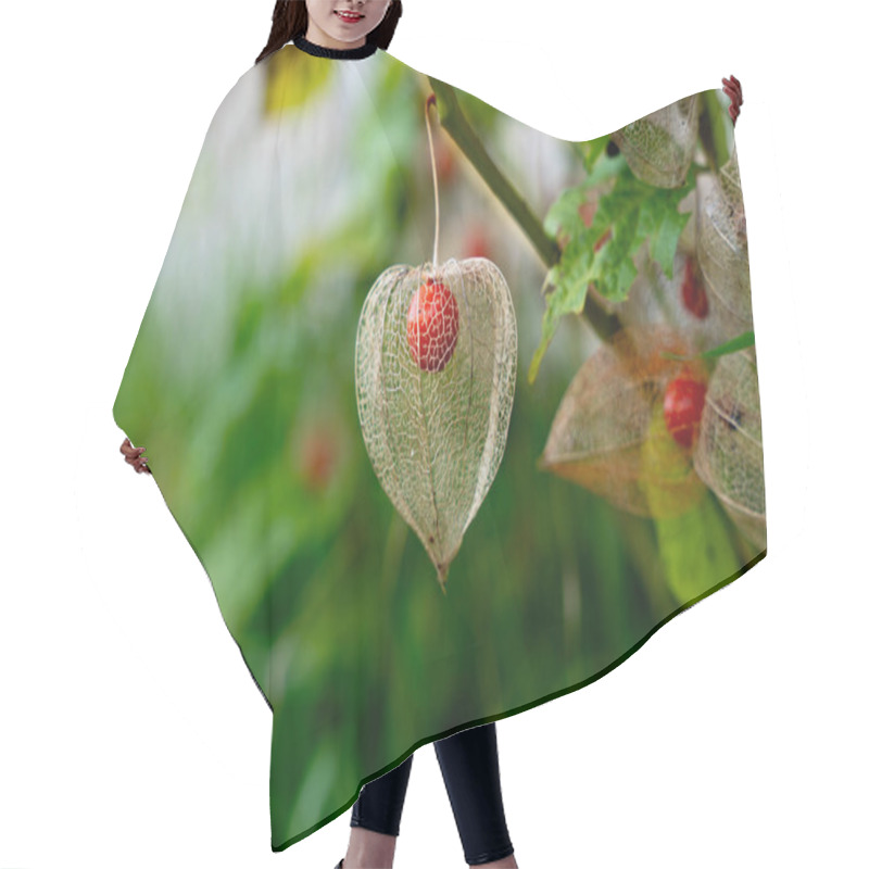 Personality  Single Physalis Berry Encased In Transparent Husk Hair Cutting Cape