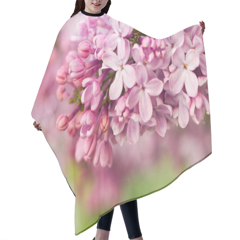 Personality  Lilac Flowers In Botanical Garden Hair Cutting Cape