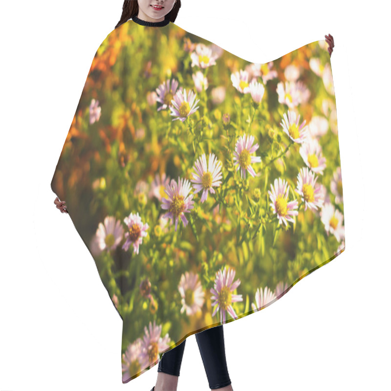 Personality   European Michaelmas Daisy Flower Hair Cutting Cape