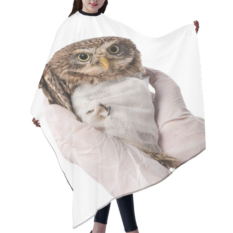 Personality  Partial View Of Veterinarian Holding Wild Injured Owl Isolated On White Hair Cutting Cape