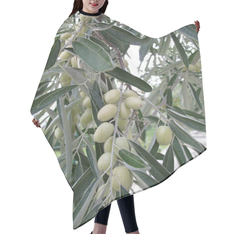 Personality  Silver Berry Hair Cutting Cape