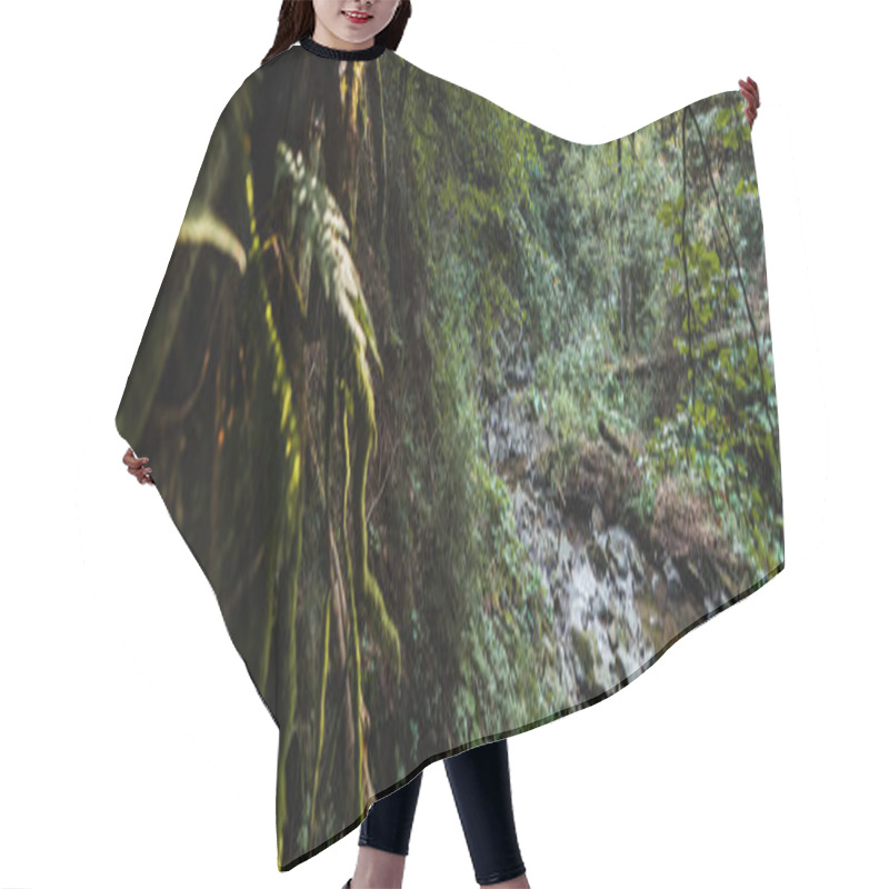 Personality  Panoramic Shot Of Flowing River Near Stones And Trees  Hair Cutting Cape