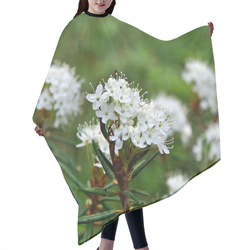 Personality  Small White Flowers Hair Cutting Cape