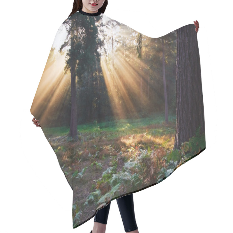 Personality  Inspirational Dawn Sun Burst Through Trees In Forest Autumn Fall Hair Cutting Cape