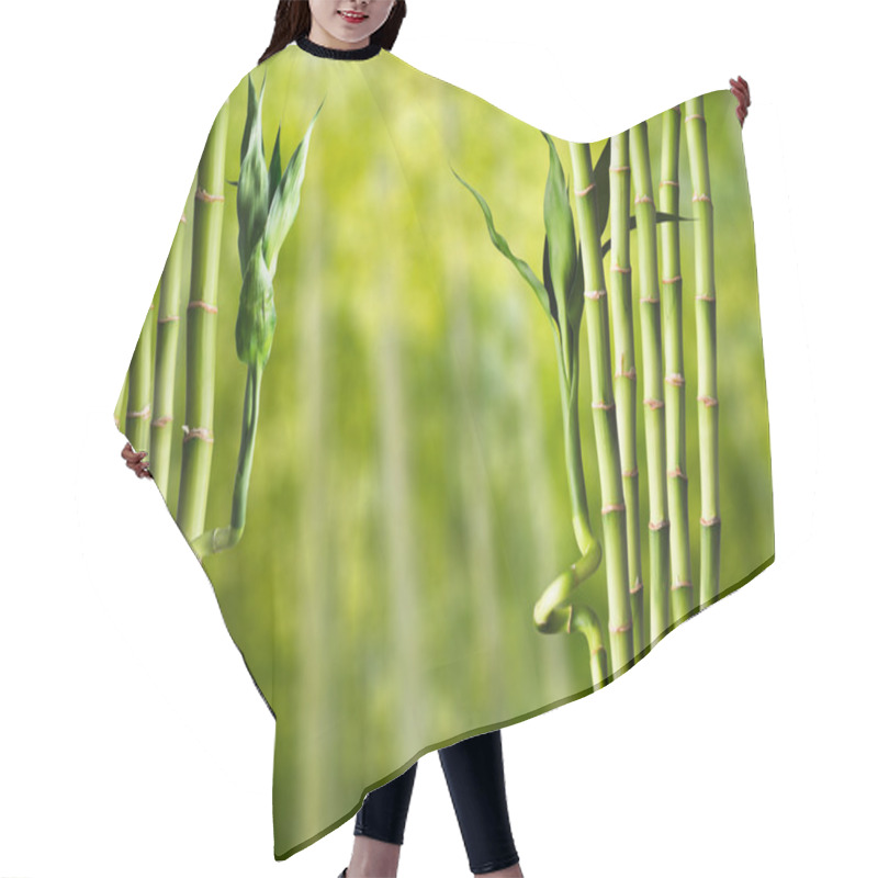 Personality  Fresh Bamboo  Background Hair Cutting Cape