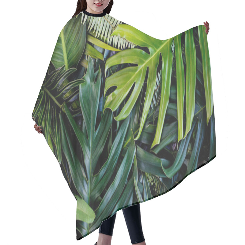 Personality  Creative Design Of Leaves, Tropical Leaf, Nature Background And Abstract Green Leaf Texture, Nature Concept. Hair Cutting Cape