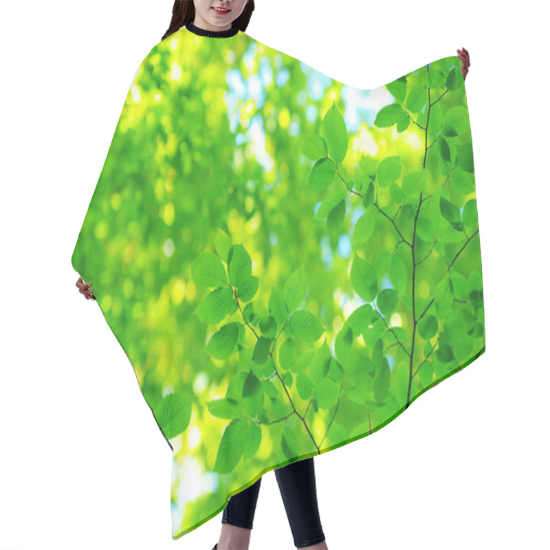 Personality  Spring Summer Flora, Green Leaves Hair Cutting Cape