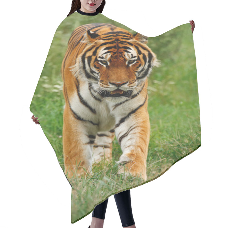 Personality  Amur Or Siberian Tiger Hair Cutting Cape