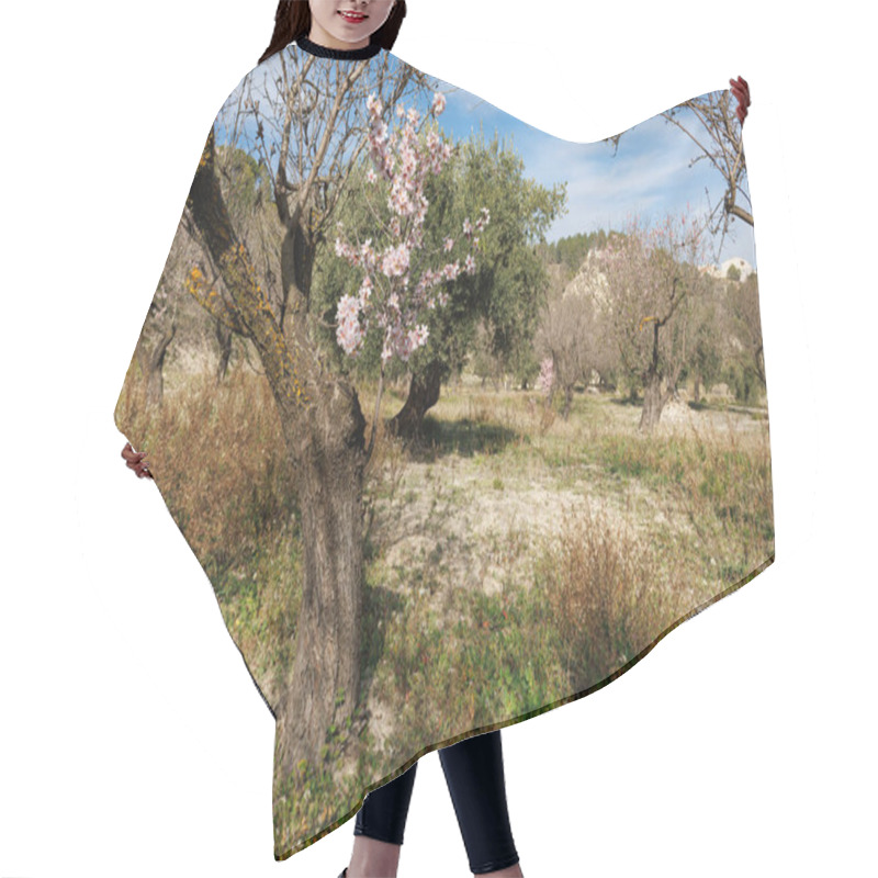 Personality  Old Almond Tree Trunk With Flowers In A Dryland Orchard, Alcoy, Spain Hair Cutting Cape