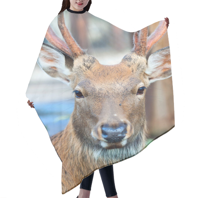 Personality  Head Of Sika Deer   Hair Cutting Cape