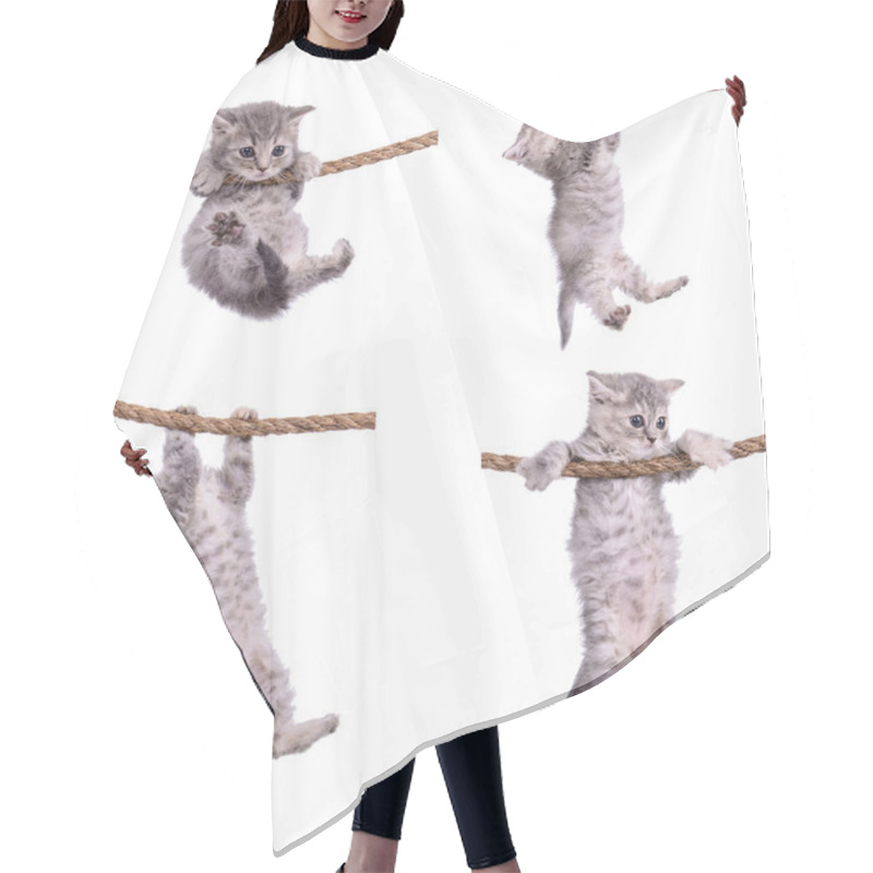 Personality  Kittens With Rope Hair Cutting Cape