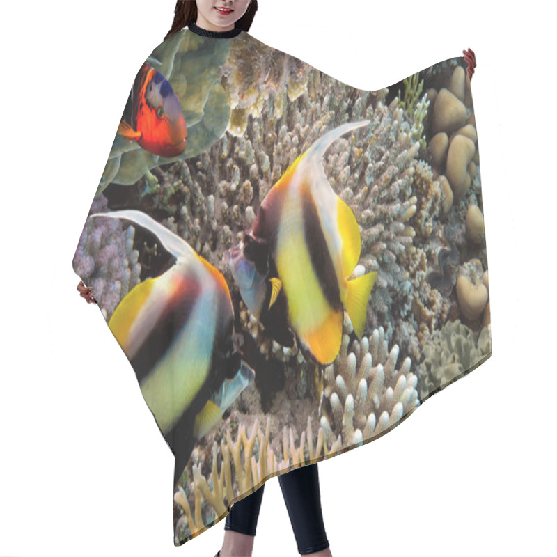 Personality  Tropical Fish And Hard Corals In The Red Sea Hair Cutting Cape