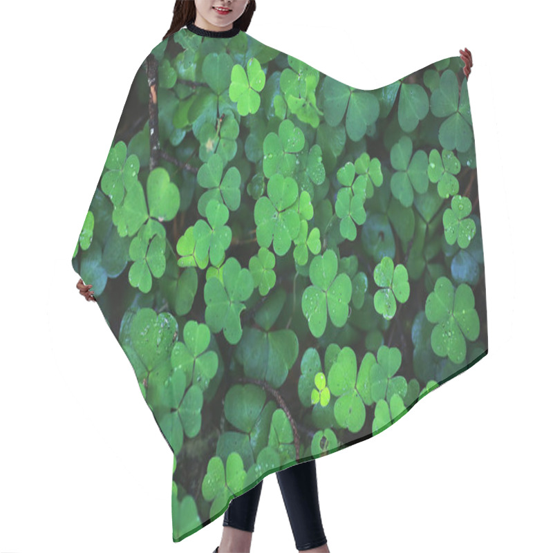 Personality  Background From Plant Clover Four Leaf. Irish Traditional Symbol Hair Cutting Cape