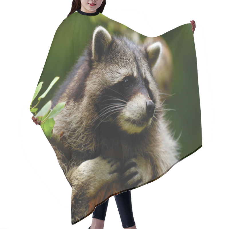 Personality  Raccoon Hair Cutting Cape