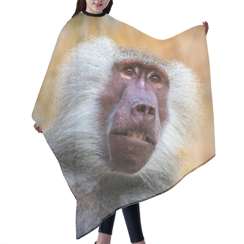 Personality  Baboon Monkey Hair Cutting Cape