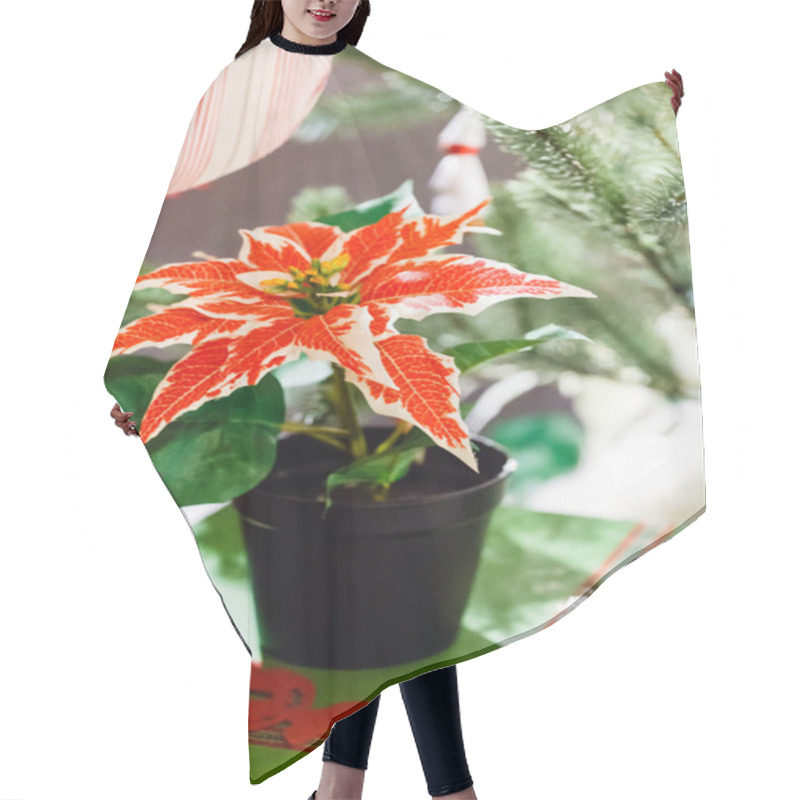 Personality  Red Christmas Flowers Hair Cutting Cape