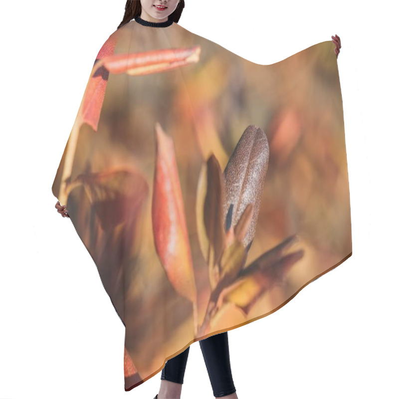 Personality  Beautiful Autumn Leaves Hair Cutting Cape