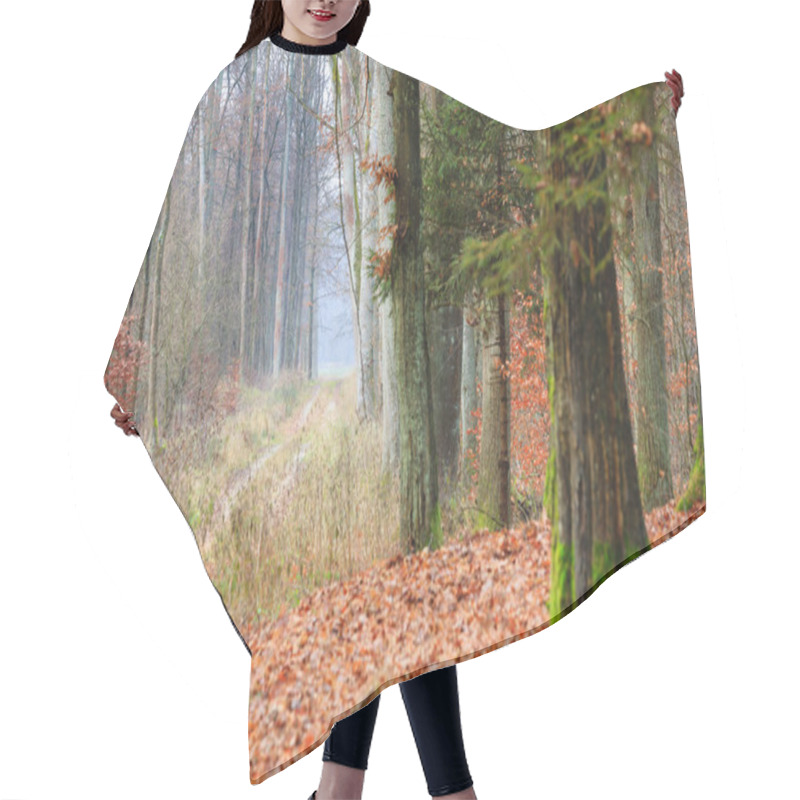 Personality  Country Road In The Forest On Misty Day Hair Cutting Cape