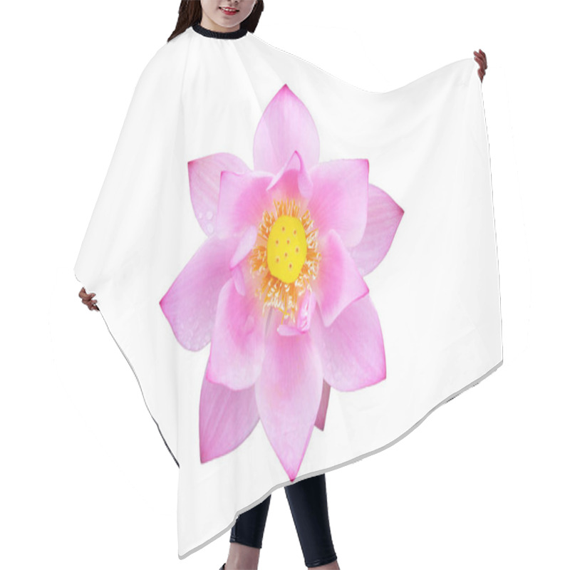 Personality  Beautiful Blooming Pink Lotus Flower On White Background. Hair Cutting Cape