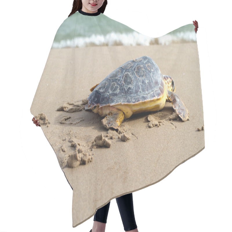 Personality  Loggerhead Sea Turtle Hair Cutting Cape