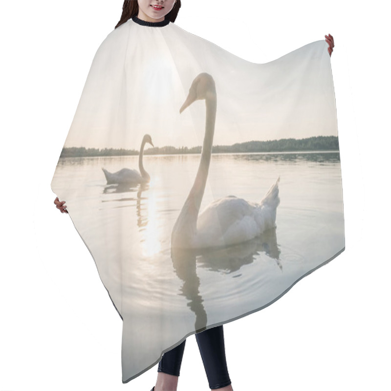 Personality  Two White Swan Birds On The Lake At Sunset Hair Cutting Cape