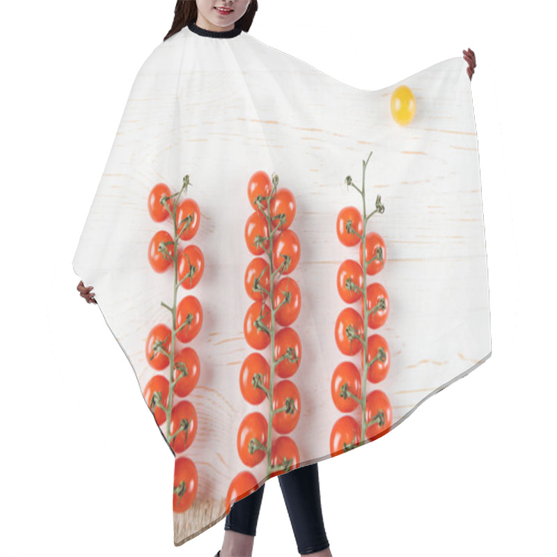 Personality  Fresh Ripe Tomatoes Hair Cutting Cape