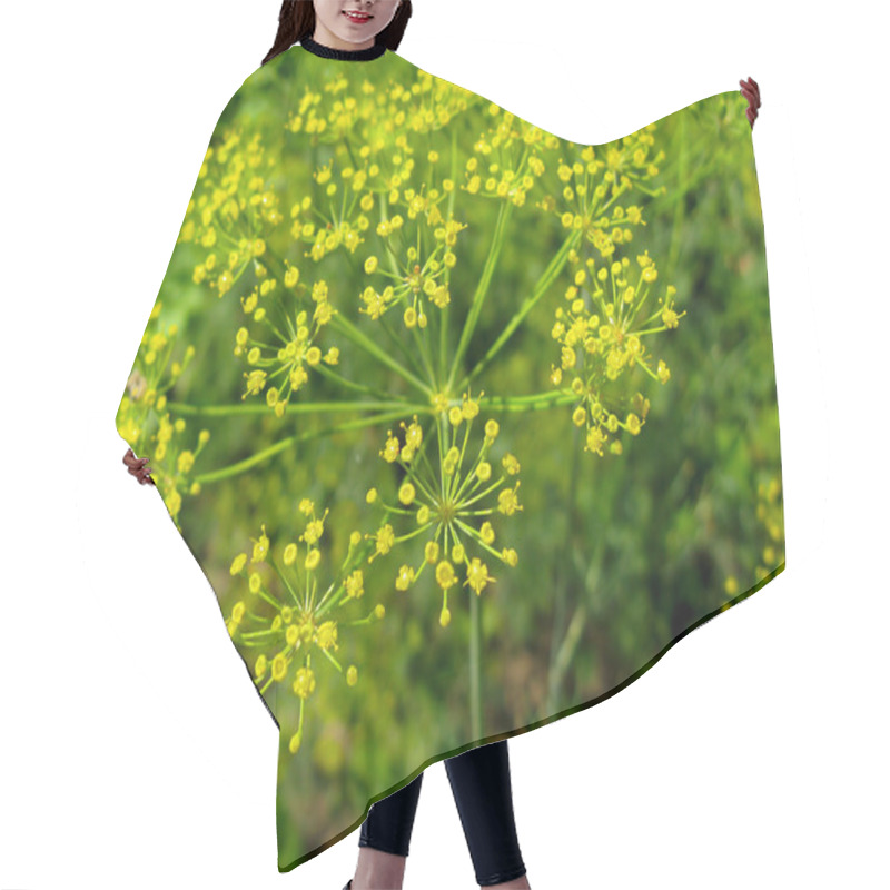 Personality  Dill On The Ground Hair Cutting Cape