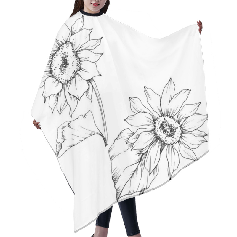 Personality  Vector Sunflower Floral Botanical Flowers. Black And White Engraved Ink Art. Isolated Sunflower Illustration Element. Hair Cutting Cape