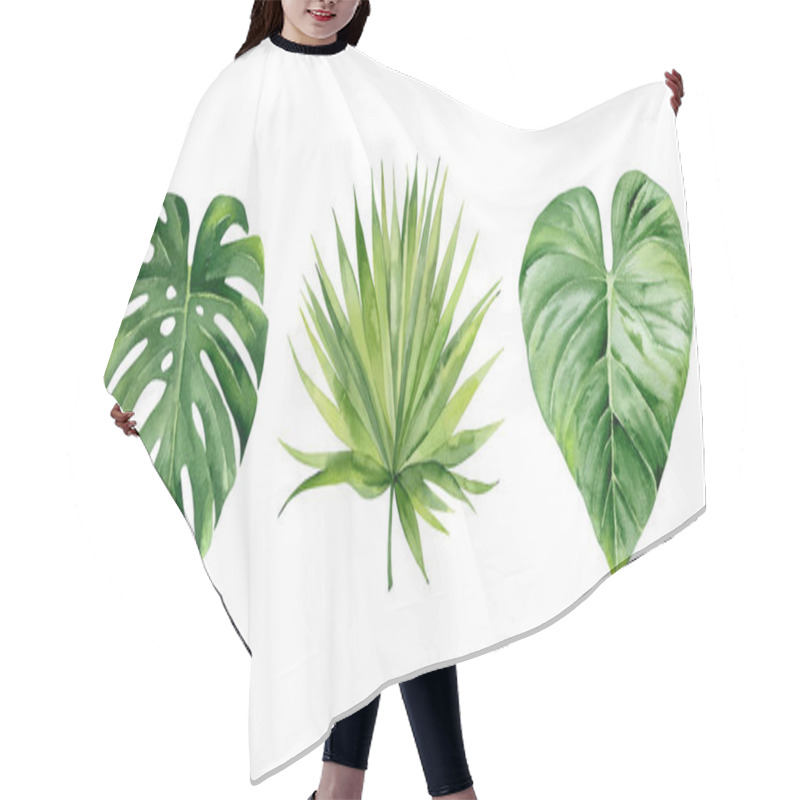 Personality  Exotic Plant Collection. Tropical Leaf Set. Details For Design. Monstera Leaf And Palm Leaves. Botanical Watercolour Illustration On White Background. Hair Cutting Cape