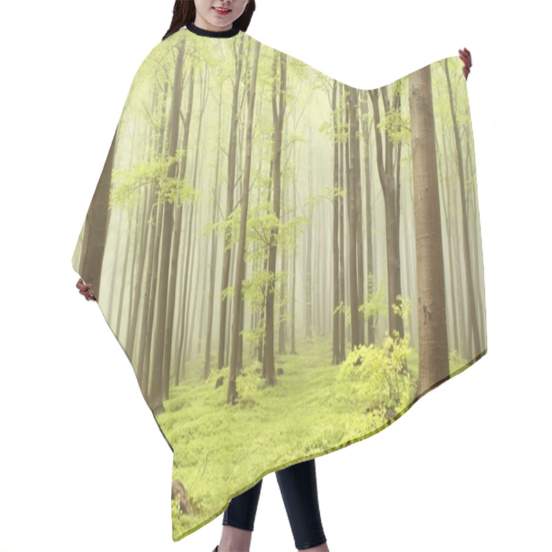 Personality  Misty Beech Forest Hair Cutting Cape