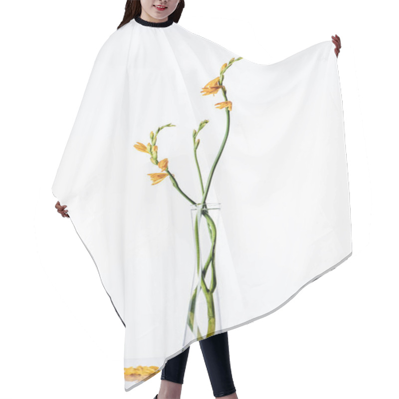 Personality  Beautiful Orange Lilies On Green Stems In Transparent Vase And Petals On White Surface  Hair Cutting Cape