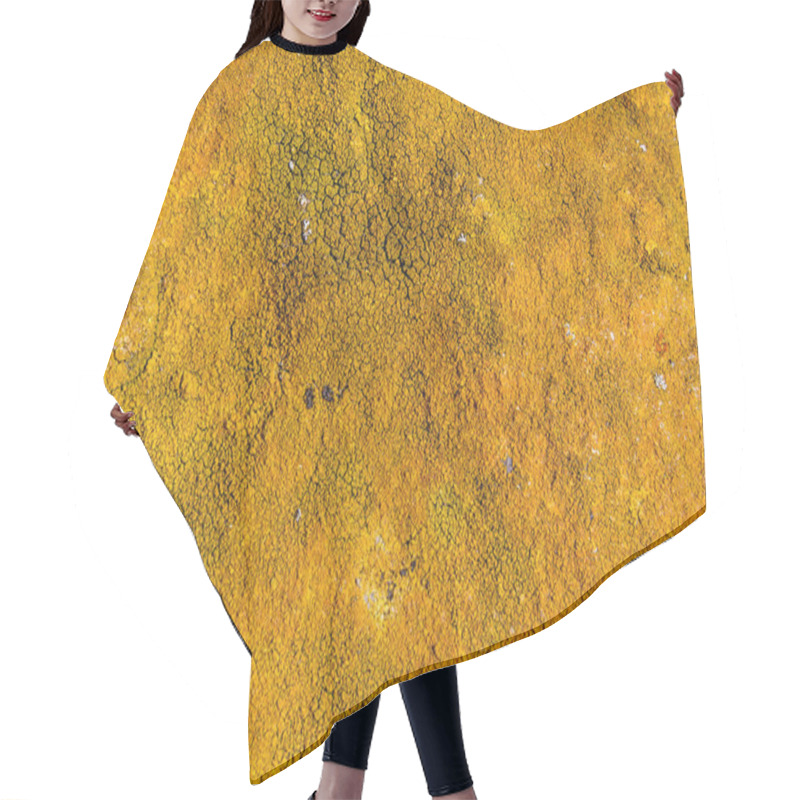 Personality  Full Frame Background Showing Dense Orange Lichen Vegetation Hair Cutting Cape