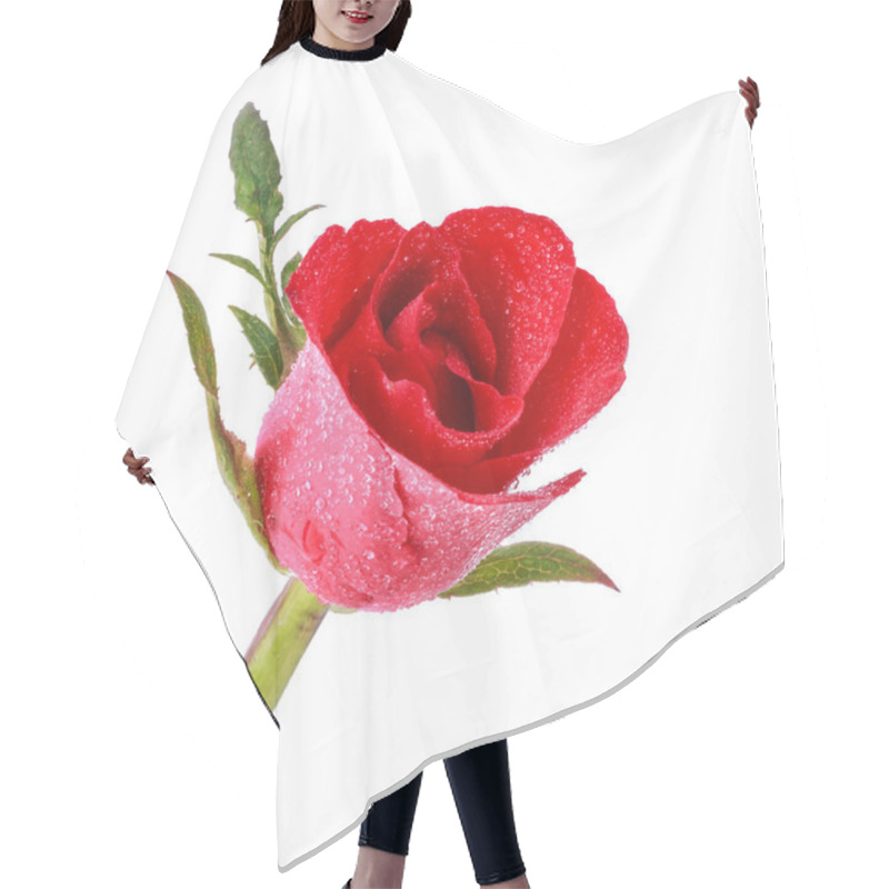 Personality  Red Roses With Water Drop Hair Cutting Cape