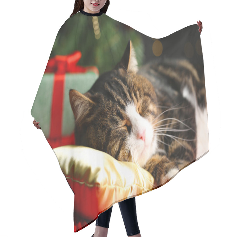 Personality  Cute Cat Lying On Carpet With Christmas Decor Hair Cutting Cape