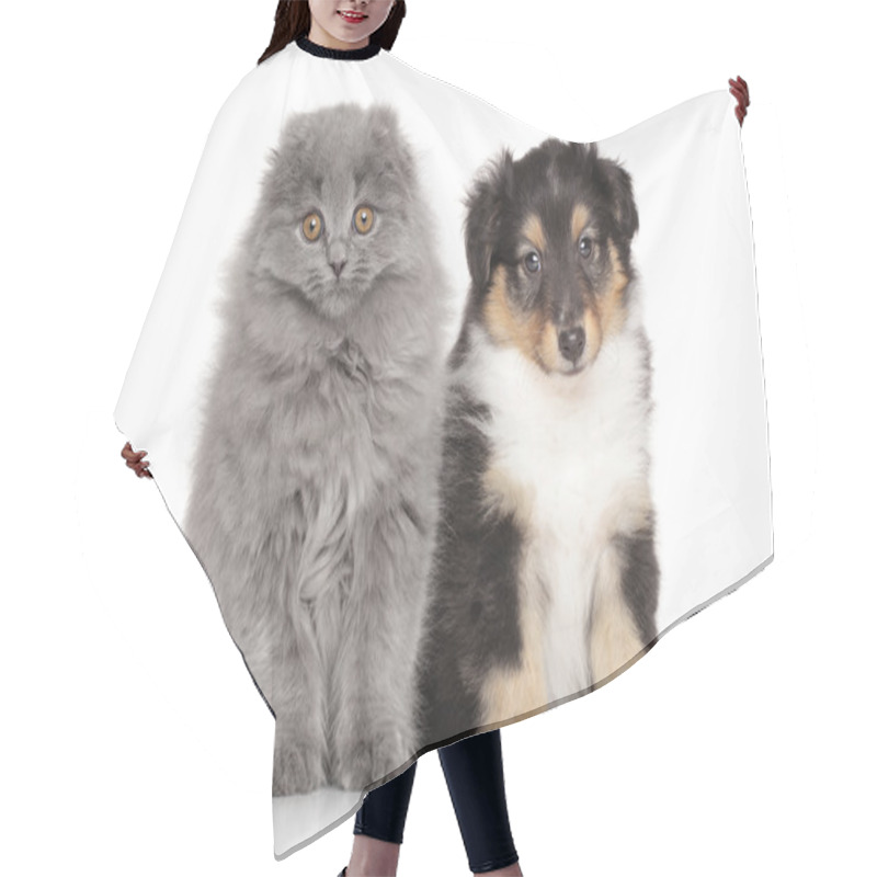 Personality  Kitten And Puppy On White Background Hair Cutting Cape