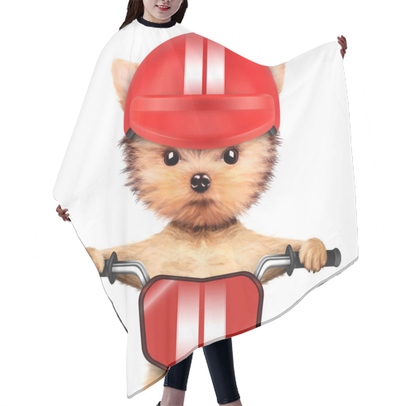 Personality  Adorable Puppy Sitting On A Bike With Helmet Hair Cutting Cape