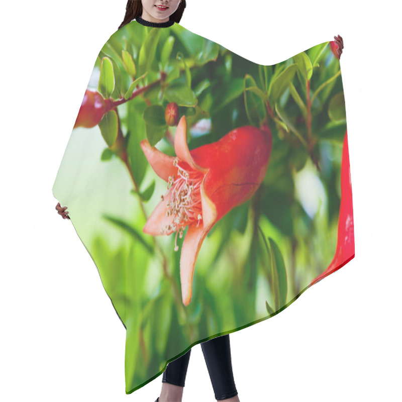 Personality  Pomegranate Blossom On Grenn Branches Hair Cutting Cape