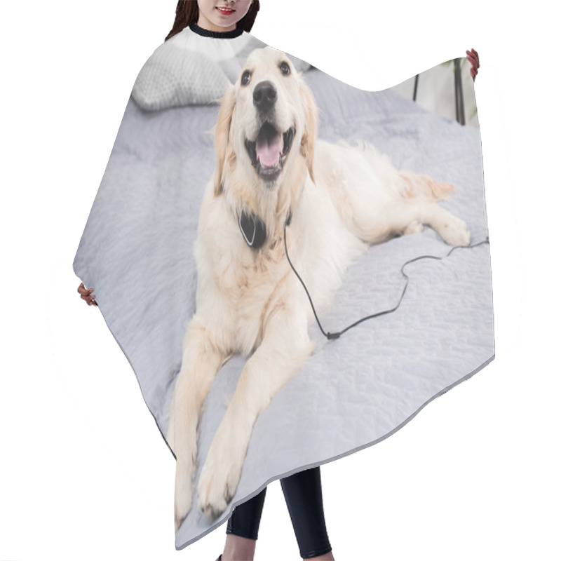 Personality  Funny Dog With Headphones   Hair Cutting Cape