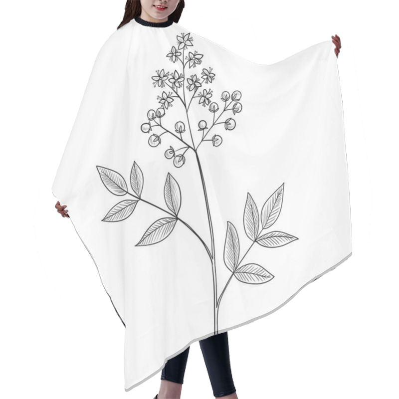 Personality  Vector Drawing Henna Hair Cutting Cape